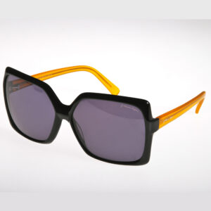FLS8010_C1